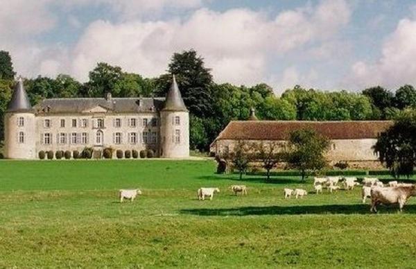 Château de Beaujeu Sens-Beaujeu Exterior foto