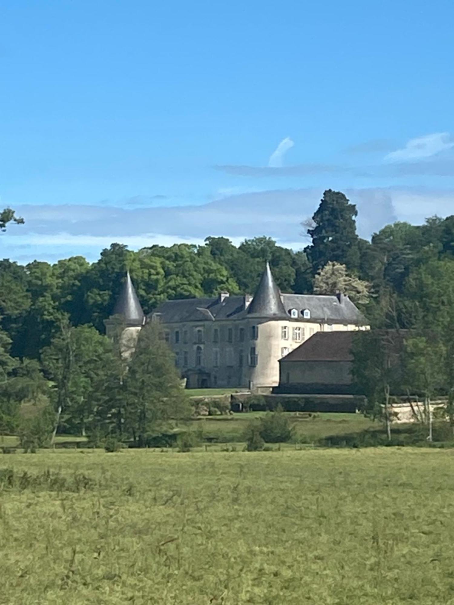 Château de Beaujeu Sens-Beaujeu Exterior foto
